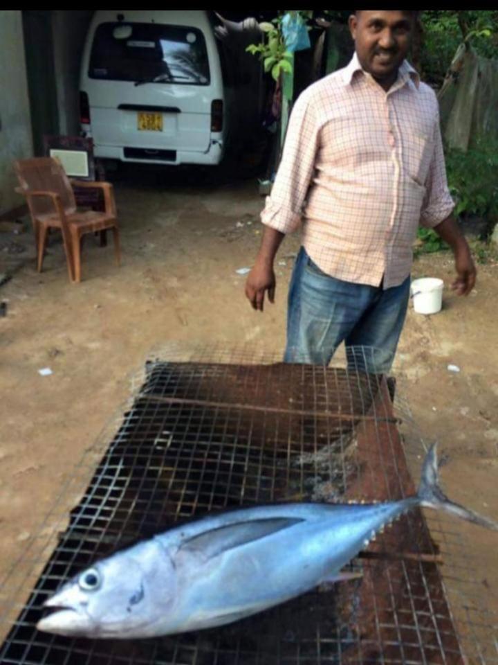Sandaru Surffing Inn Weligama Exterior foto