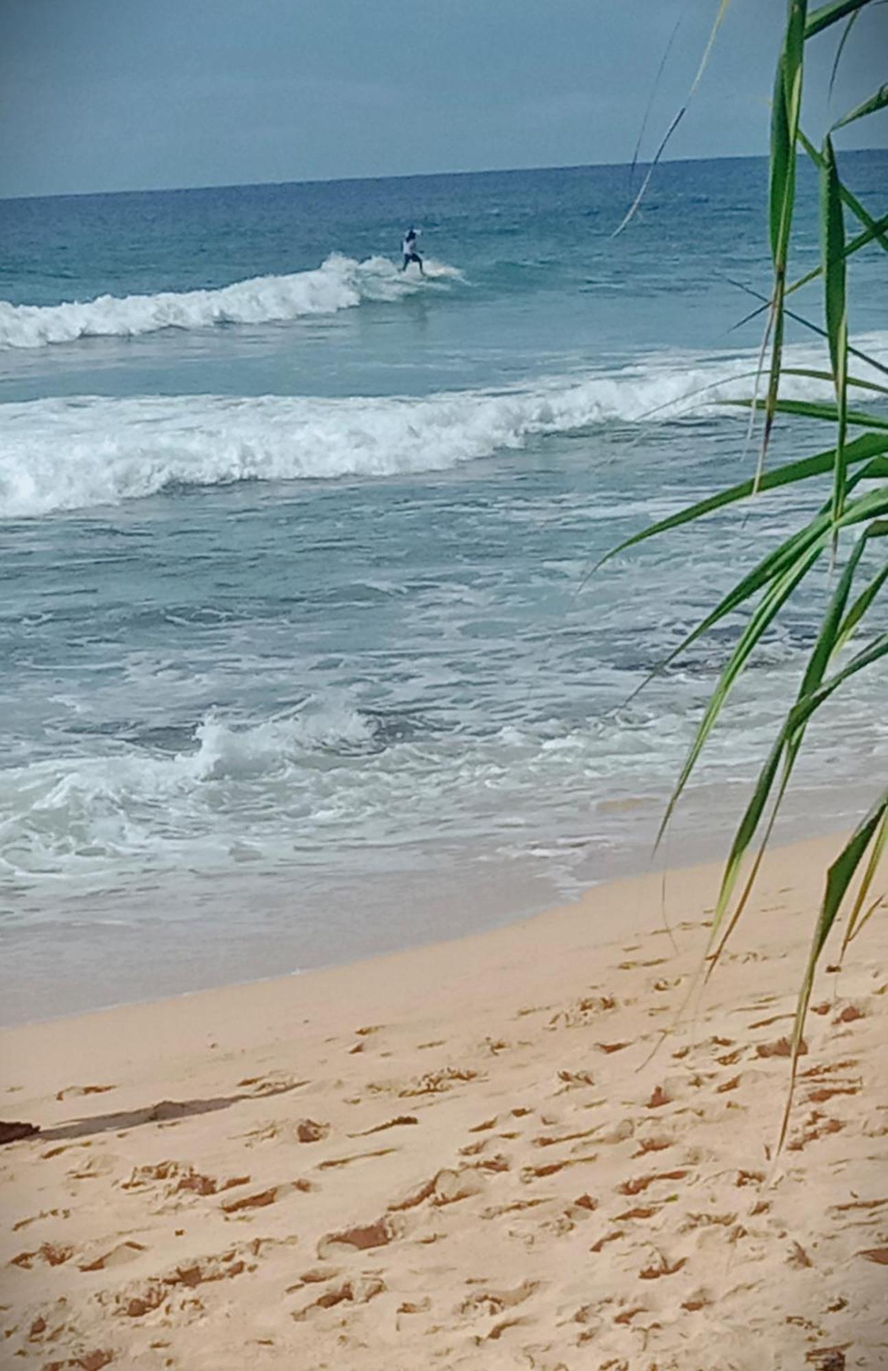 Sandaru Surffing Inn Weligama Exterior foto